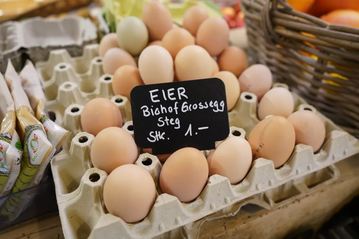 Sara und Roger Bachmann führen seit Anfang Januar 23 das Biogeschäft «zum Grünen Hof» in Pfäffikon - ehemals Teufers Kulinaria